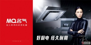 公司介绍